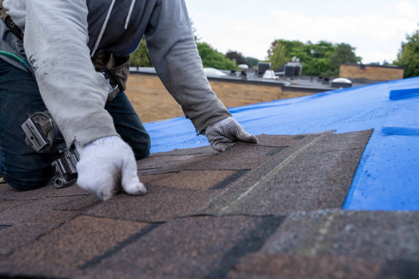 Best Storm Damage Roof Repair  in The Pinehills, MA